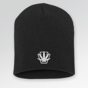 classic short beanie