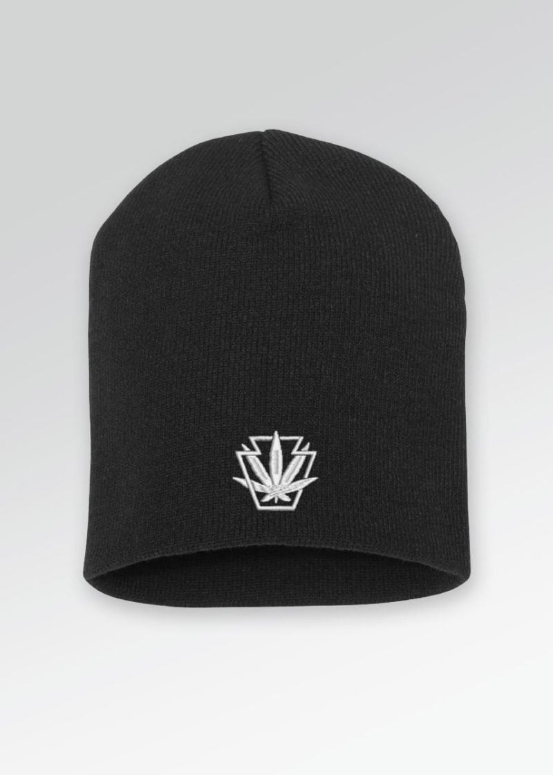 classic short beanie