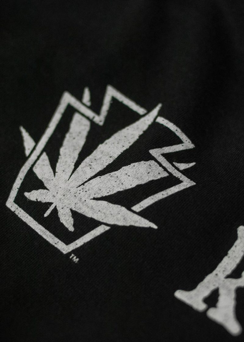 dt6000 shirt horiz logo 0422