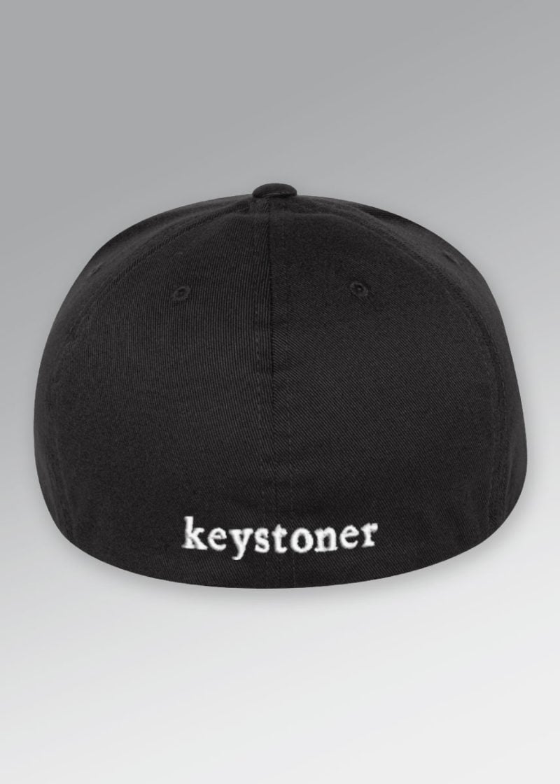 flexfit pro baseball hat back