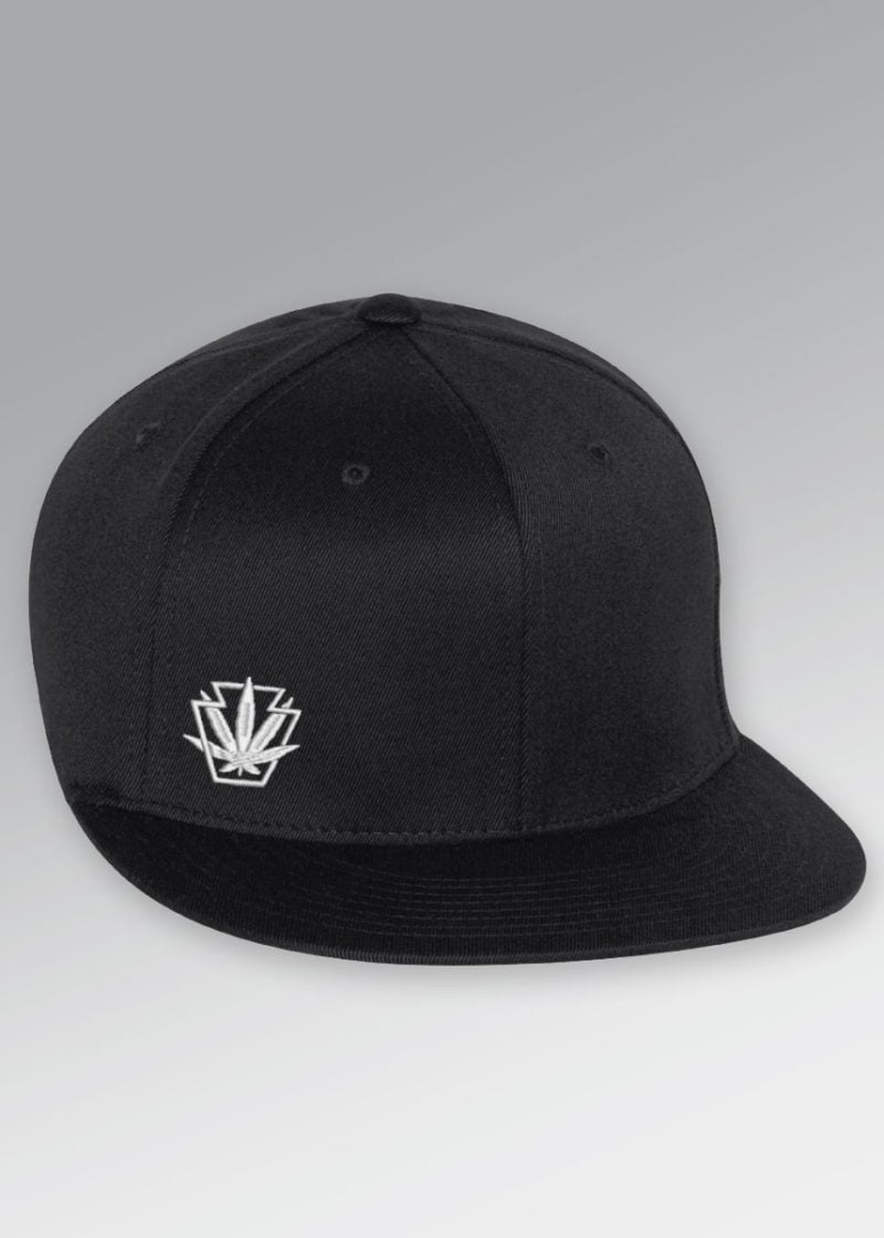 flexfit pro baseball hat front