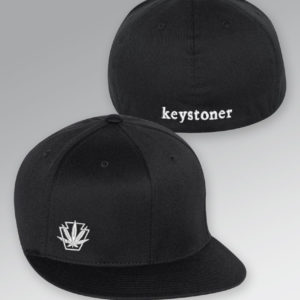 flexfit pro baseball hat group